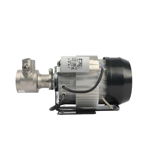 Picture of PRG Series Maxipump 700LPH Rotary Vane Pump