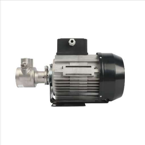 Picture of Maxipump 1080LPH Rotary Vane Pump